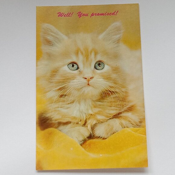 Other - 🎯 10 for $10 / Vintage Postcard Collectible Post Card